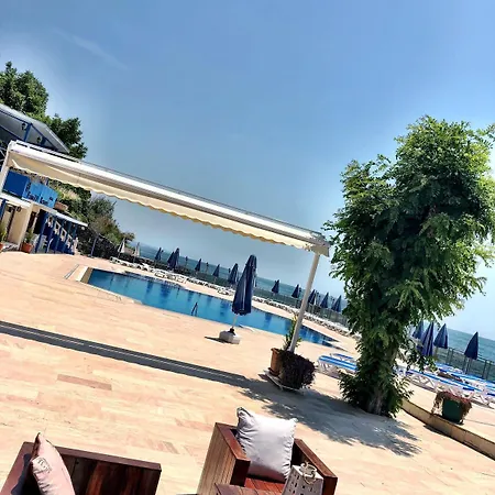 Family سليم باشا